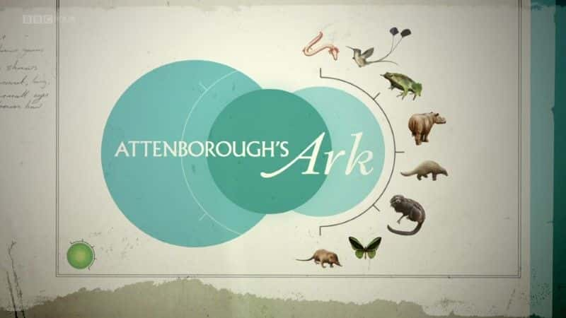 ¼Ƭյķ/Attenborough's Ark-Ļ