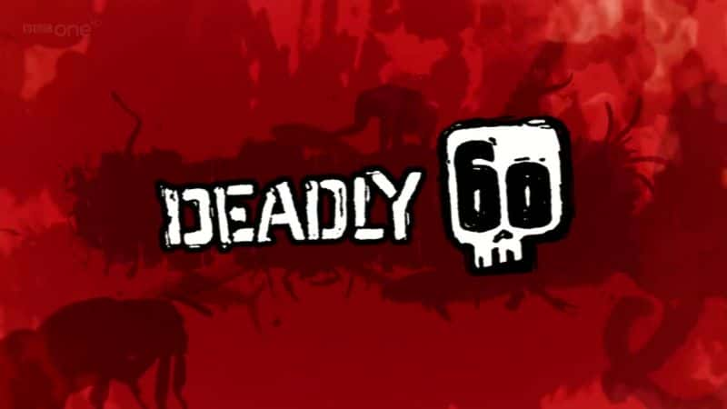 ¼Ƭ60ϵ2/Deadly 60 Series2-Ļ