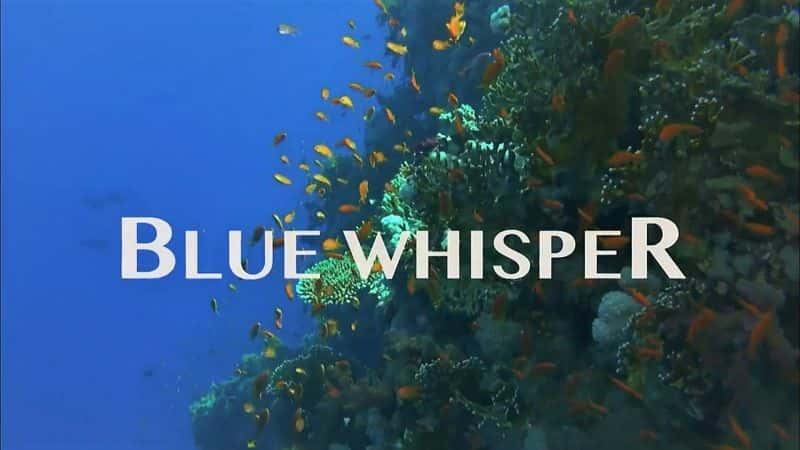 ¼ƬɫĶ/Blue Whisper-Ļ