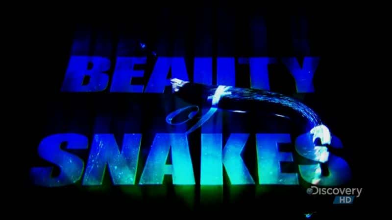 ¼Ƭߵ/The Beauty of Snakes-Ļ