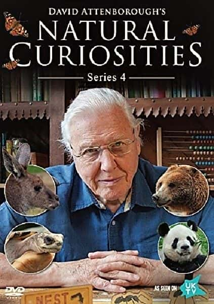 ¼ƬǱȻۣļ/David Attenborough's Natural Curiosities: Series 4-Ļ