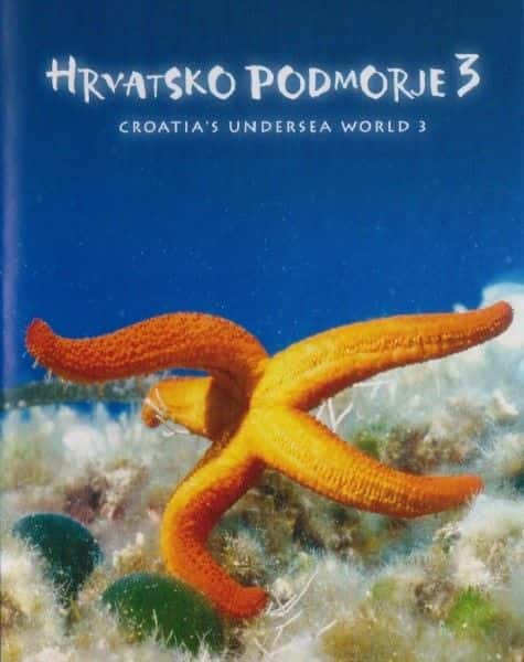 ¼Ƭ޵Ǻϵ3/Croatian Undersea World Series 3-Ļ
