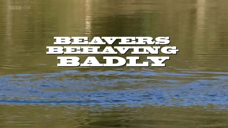 ¼ƬΪ/Beavers Behaving Badly-Ļ