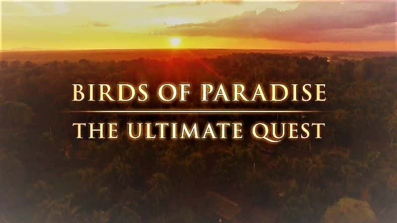 ¼Ƭռ׷/Birds of Paradise: The Ultimate Quest-Ļ