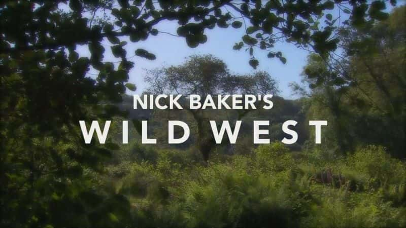 ¼ƬҰʦ/Bakers Wild-Ļ