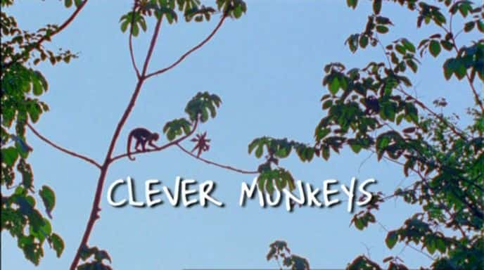 ¼Ƭĺ/Clever Monkeys-Ļ