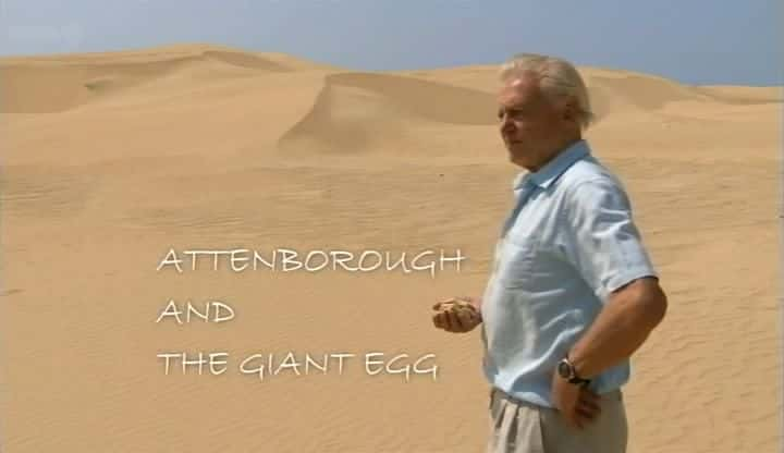 ¼Ƭ޵/Attenborough and the Giant Egg-Ļ