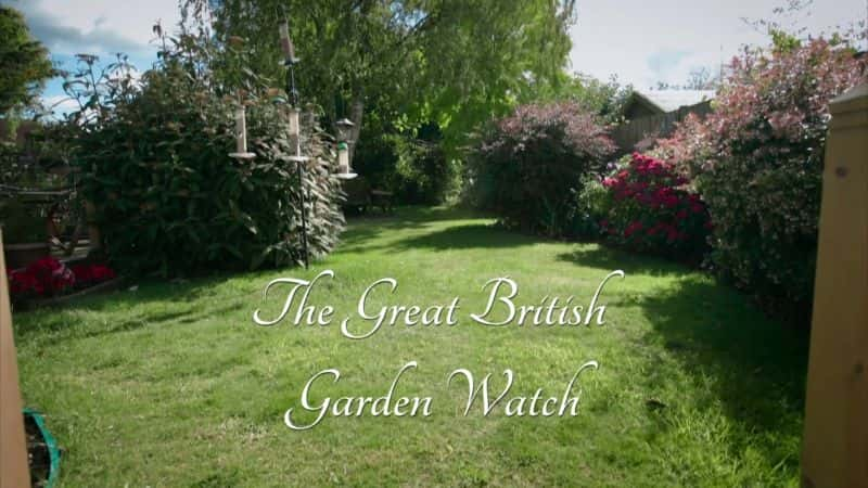 ¼ƬΰӢ԰۲/The Great British Garden Watch-Ļ