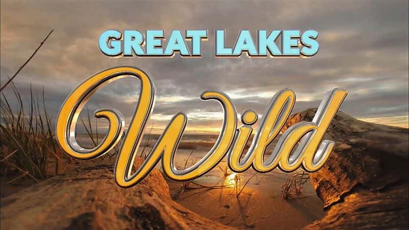 ¼ƬҰϵ1/Great Lakes Wild: Series 1-Ļ