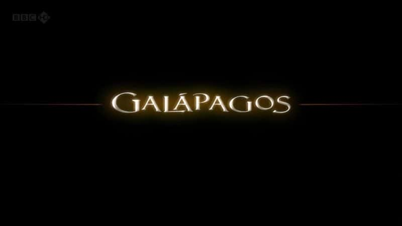 ¼Ƭ˹/Galapagos-Ļ