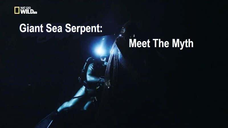 ¼Ƭͺߣ/Giant Sea Serpent: Meet the Myth-Ļ