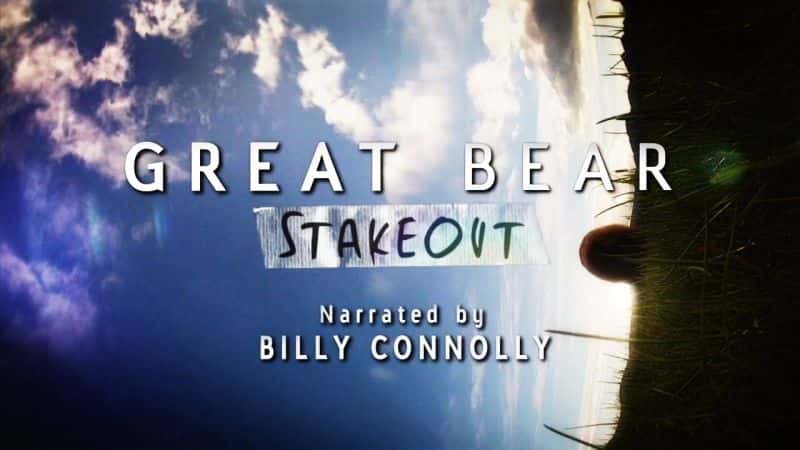 ¼Ƭܹ۲/Great Bear Stakeout-Ļ