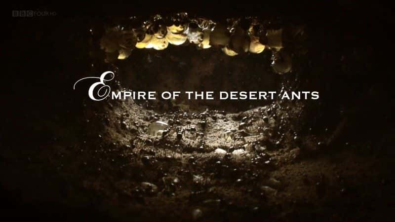 ¼ƬɳĮϵ۹/Empire of the Desert Ants-Ļ