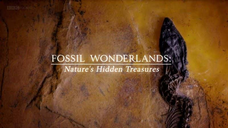 ¼ƬʯۣȻر/Fossil Wonderlands: Nature's Hidden Treasures-Ļ