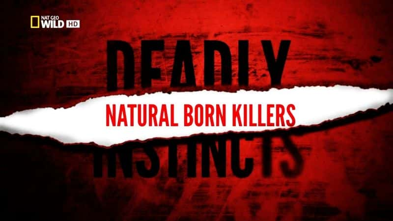 ¼Ƭܣɱ/Deadly Instincts: Natural Born Killers-Ļ