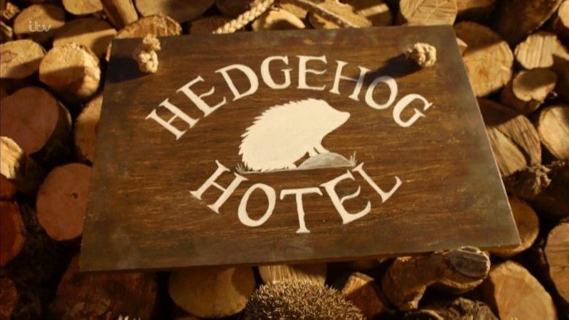 ¼Ƭù/Hedgehog Hotel-Ļ