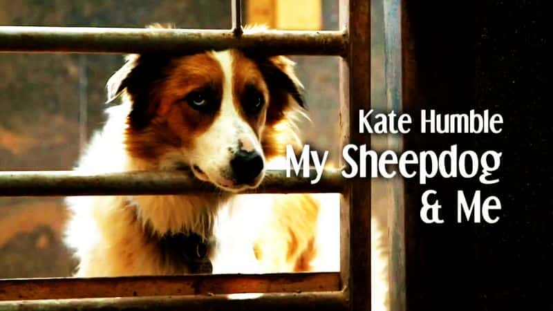 ¼ƬءҵȮ/Kate Humble: My Sheepdog and Me-Ļ