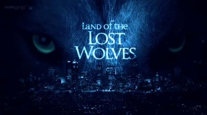 ¼Ƭʧ֮/Land of the Lost Wolves-Ļ