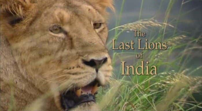 ¼Ƭӡʨ/The Last Lions of India-Ļ