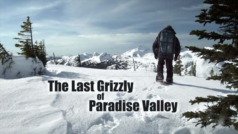 ¼ƬɽĻ/The Last Grizzly of Paradise Valley-Ļ