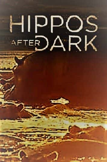 ¼Ƭҹ֮/Hippos: After Dark-Ļ