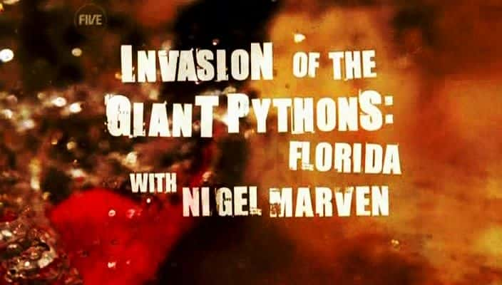 ¼Ƭ֣/Invasion of the Giant Pythons: Florida-Ļ