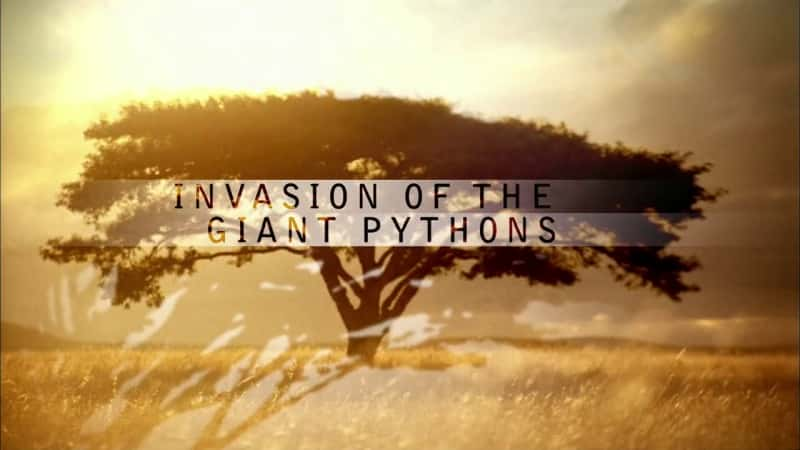 ¼Ƭ/Invasion of the Giant Pythons-Ļ