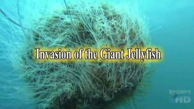 ¼Ƭˮĸ/Invasion of the Giant Jellyfish-Ļ