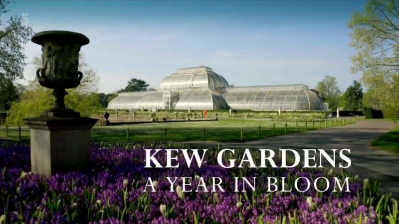 ¼Ƭ׶ؿɪջ԰ʢһϵ1/Kew Gardens: A Year in Bloom Series 1-Ļ