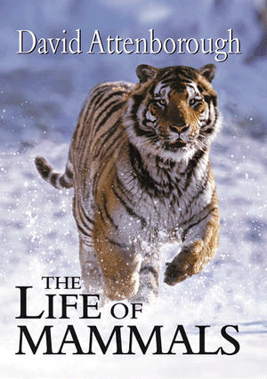 ¼Ƭ鶯/The Life of Mammals-Ļ