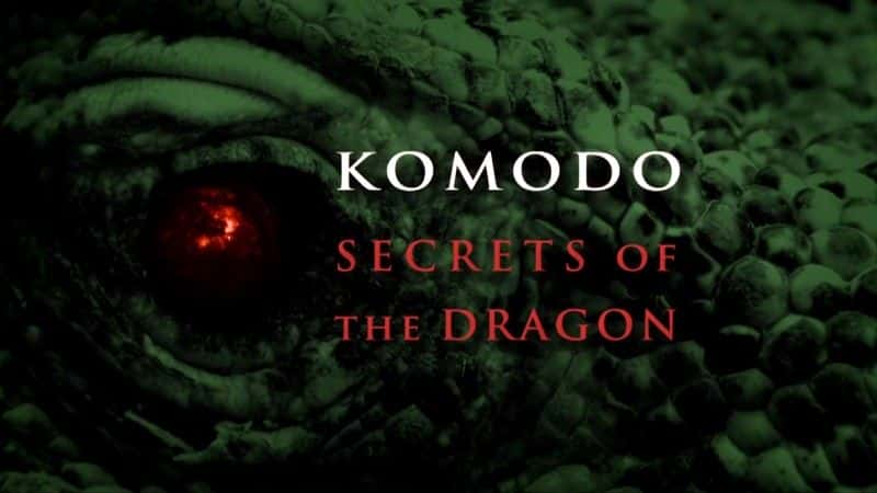 ¼ƬĪࣺ/Komodo: Secrets of the Dragon-Ļ