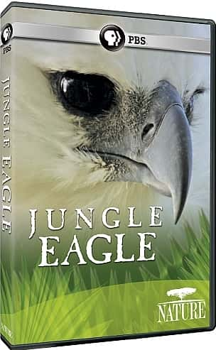 ¼Ƭ֮ӥ/Jungle Eagle-Ļ