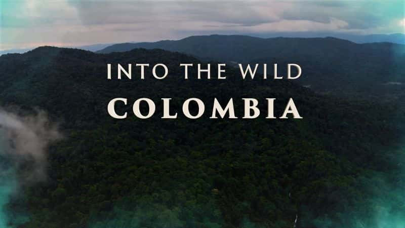 ¼ƬױǵĻҰһ/Into the Wild Colombia: Series 1-Ļ