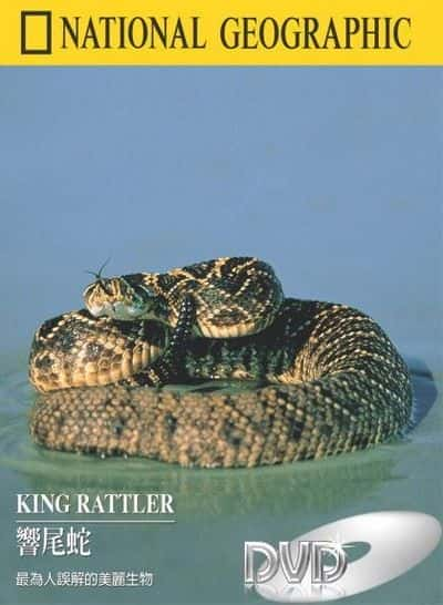 ¼Ƭβ/King Rattler-Ļ