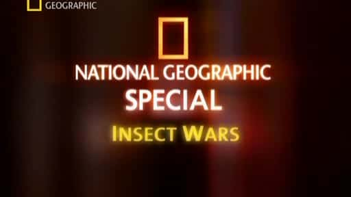 ¼Ƭս/Insect Wars-Ļ