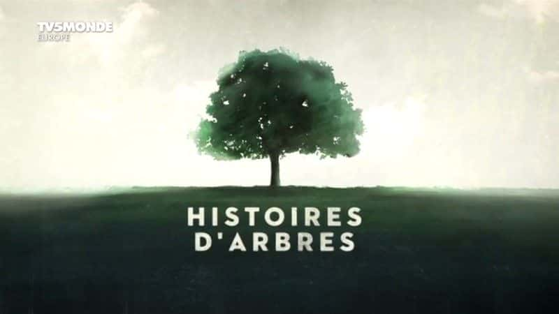 ¼Ƭľϵ1/Histoires d'Arbres Series 1-Ļ