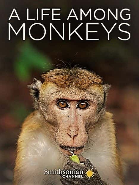 ¼Ƭӹһ/A Life Among Monkeys-Ļ