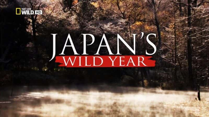 ¼ƬձĿҰ/Japans Wild Year-Ļ