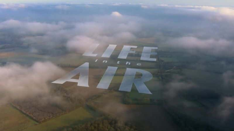 ¼Ƭе/Life in the Air-Ļ