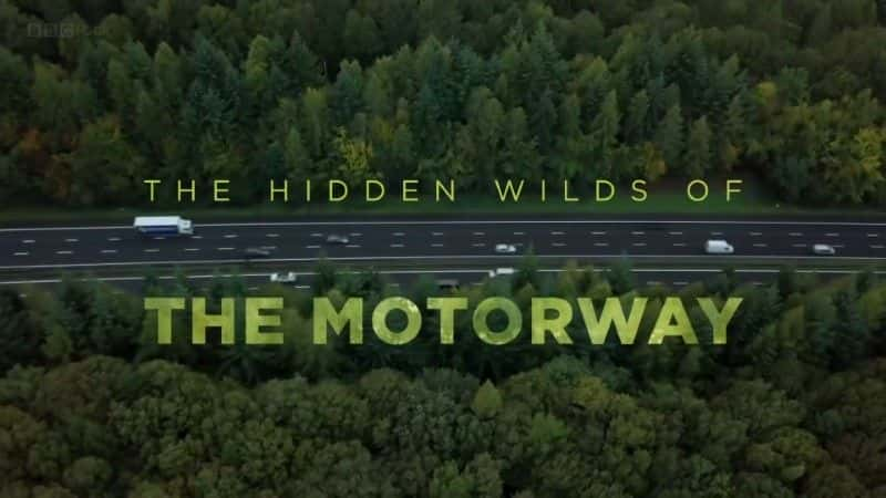 ¼Ƭٹ·ػҰ/The Hidden Wilds of the Motorway-Ļ