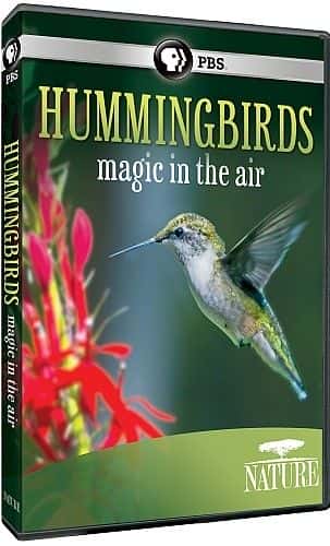 ¼Ƭ񣺿ħ/Hummingbirds: Magic in the Air-Ļ