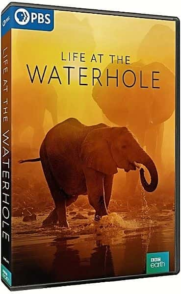 ¼Ƭˮһ/Life at the Waterhole: Series 1-Ļ