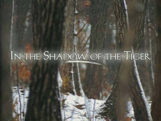 ¼ƬϻӰ/In the Shadow of the Tiger-Ļ