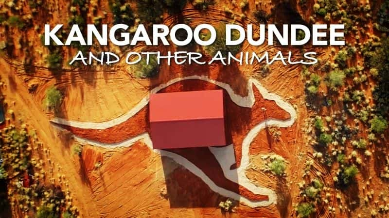 ¼Ƭ˵Ϻ/Kangaroo Dundee and Other Animals-Ļ