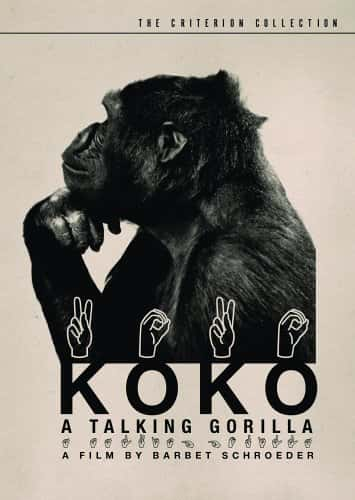 ¼Ƭɿ - һֻ˵Ĵ/Koko - A Talking Gorilla-Ļ