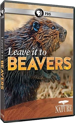 ¼Ƭ/Leave it to Beavers-Ļ