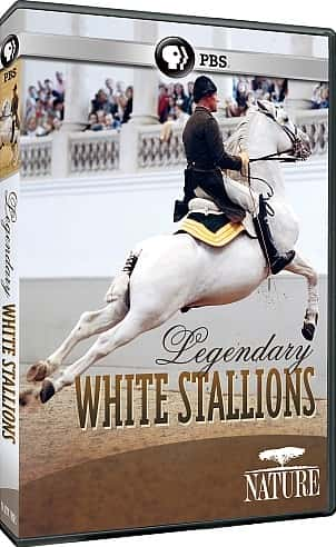 ¼Ƭɫ/Legendary White Stallions-Ļ