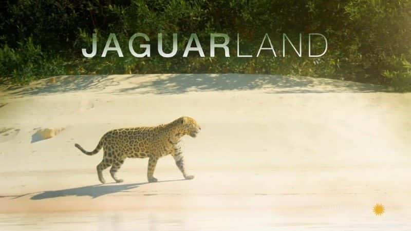 ¼Ƭޱ֮/Jaguarland-Ļ