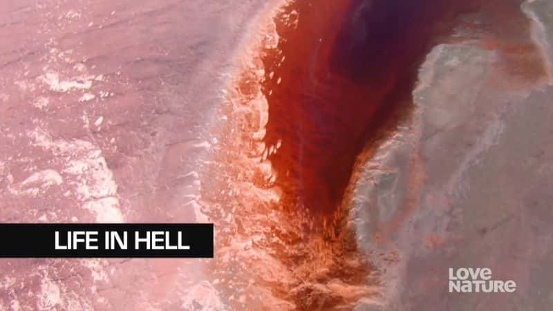 ¼Ƭе/Life in Hell-Ļ