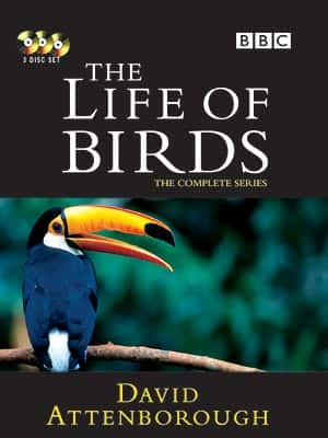 ¼Ƭ/The Life of Birds-Ļ